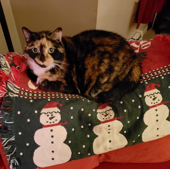 Meet your Posher, Andrea - Picture 4 of 7